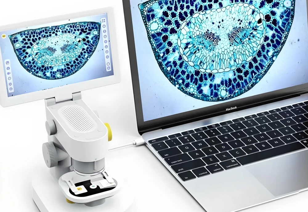 microscope with screen